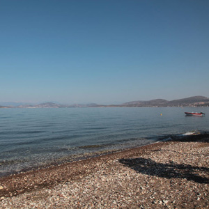Anastasias Apartments Iria Beach - Iria Beach