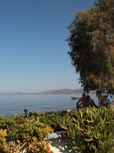 Holiday in Greek Nature